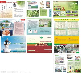 金永升膳食管理 餐饮管理的视觉艺术与专业实践